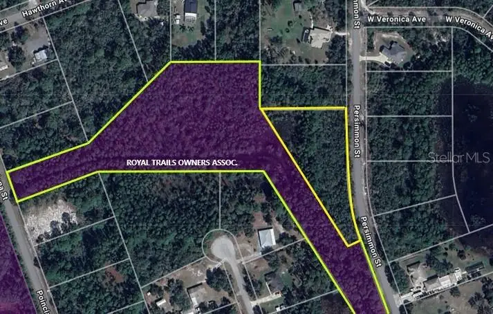 LOT 11 Persimmon Street, Eustis, FL 32736 - Image #3