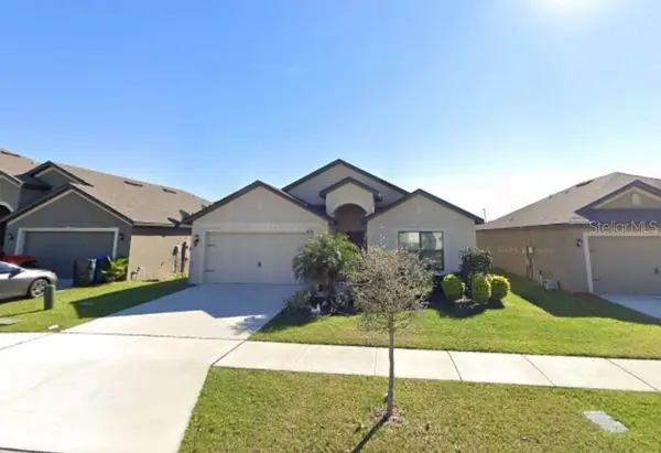 14313 Haddon Mist Drive, WIMAUMA, FL 33598