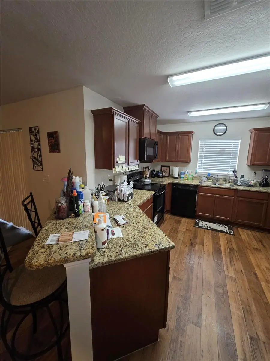 14313 Haddon Mist Drive, Wimauma, FL 33598 - Image #2