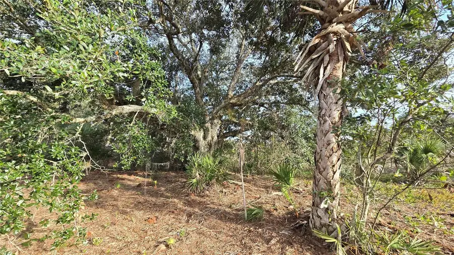 15783 NW 296th Street, Okeechobee, FL 34972 - Image #2