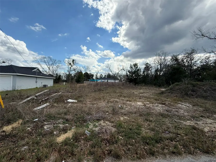 41 Fisher Lane Track, Ocklawaha, FL 32179 - Image #2