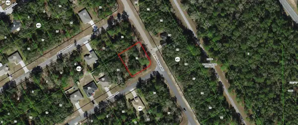 125 W Ruska Place, CITRUS SPRINGS, FL 34434