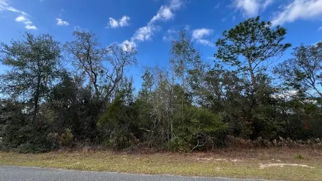 141 W Ruska Place, Citrus Springs, FL 34434 - Image #2