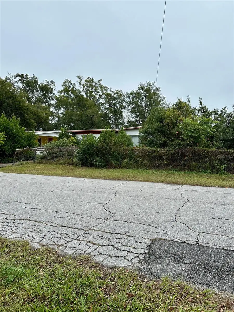 1300 Morningside Street, Mount Dora, FL 32757 - Image #1