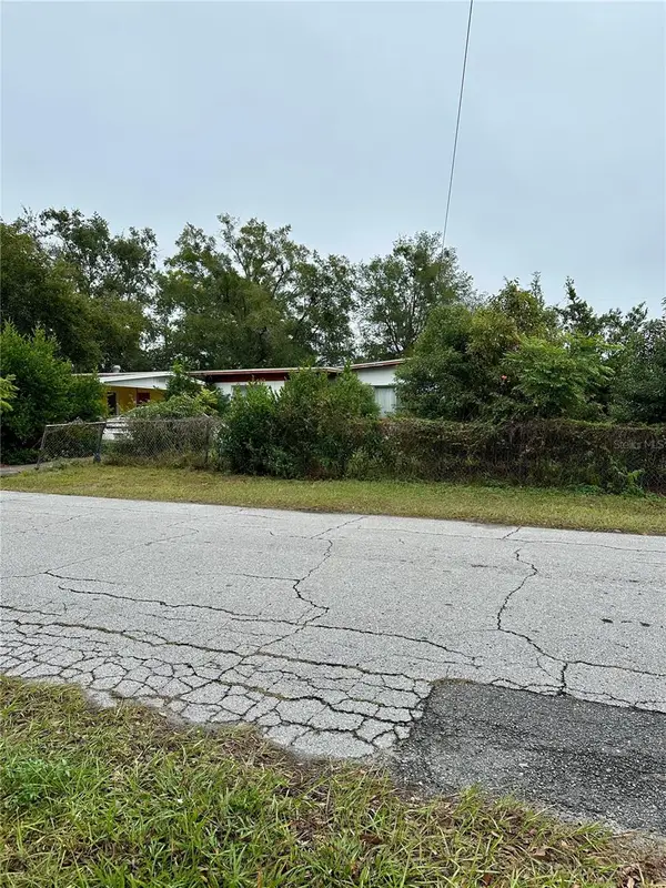 1300 Morningside Street, MOUNT DORA, FL 32757