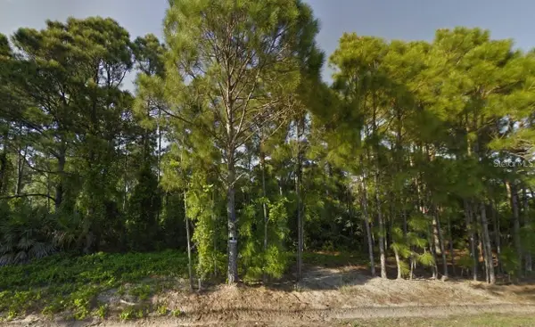 Bermuda Ct Nw, PALM BAY, FL 32907