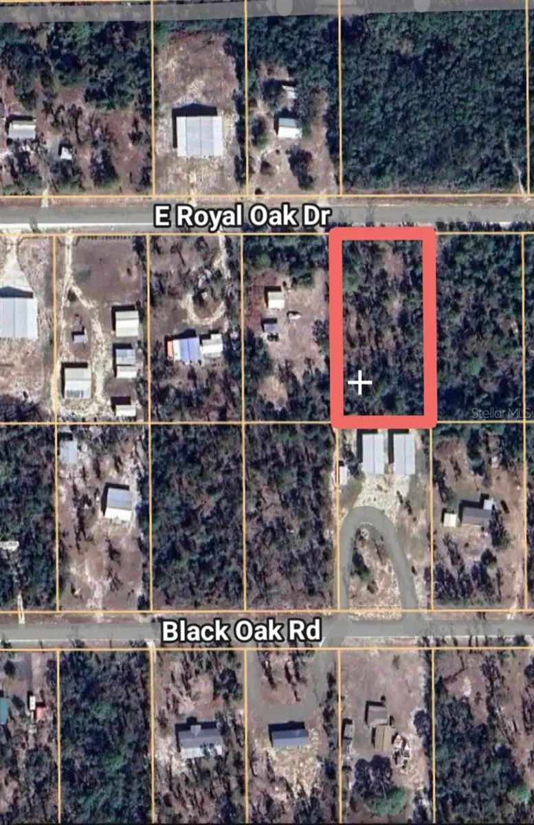 TBD  0000 E Royal Oak Dr, Perry, FL 32348 - Image #1