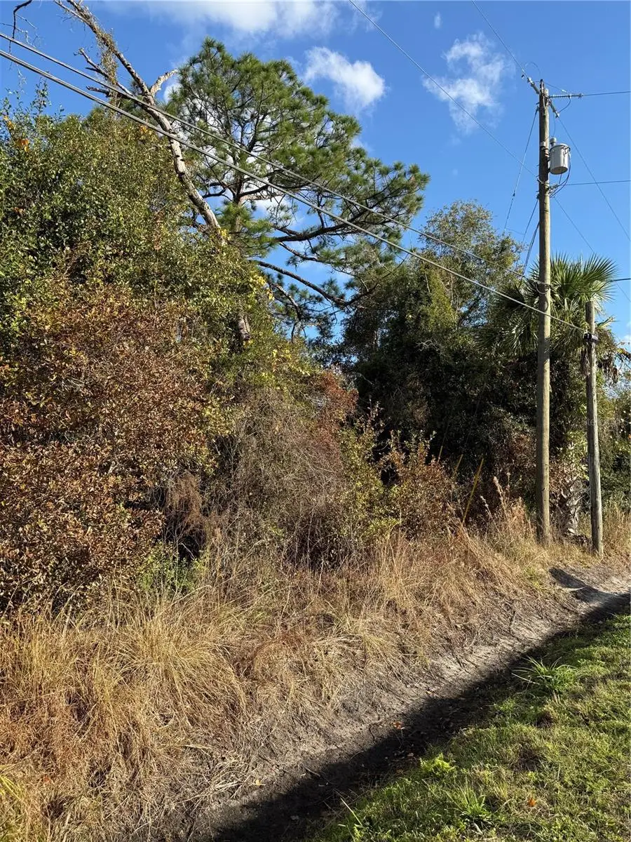 Padrick Avenue, Deland, FL 32720 - Image #1