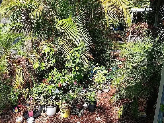 6244 Scenic View Drive, Lakeland, FL 33810 - Image #3