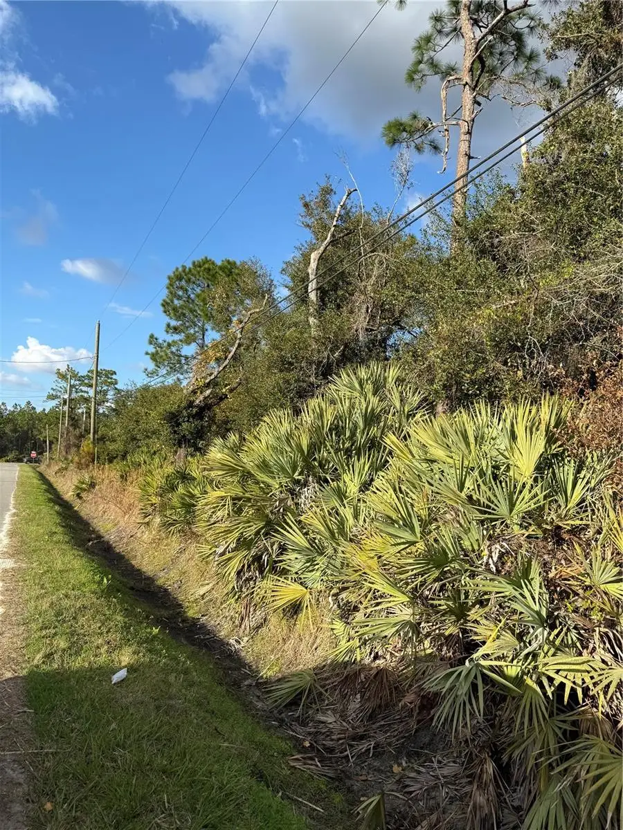 Padrick Avenue, Deland, FL 32720 - Image #2