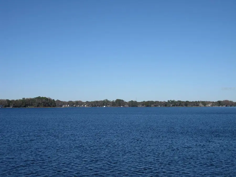 18620 Wayne Road, Odessa, FL 33556 - #3