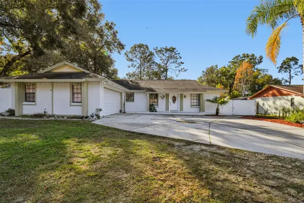 529 Bison Circle, APOPKA, FL 32712