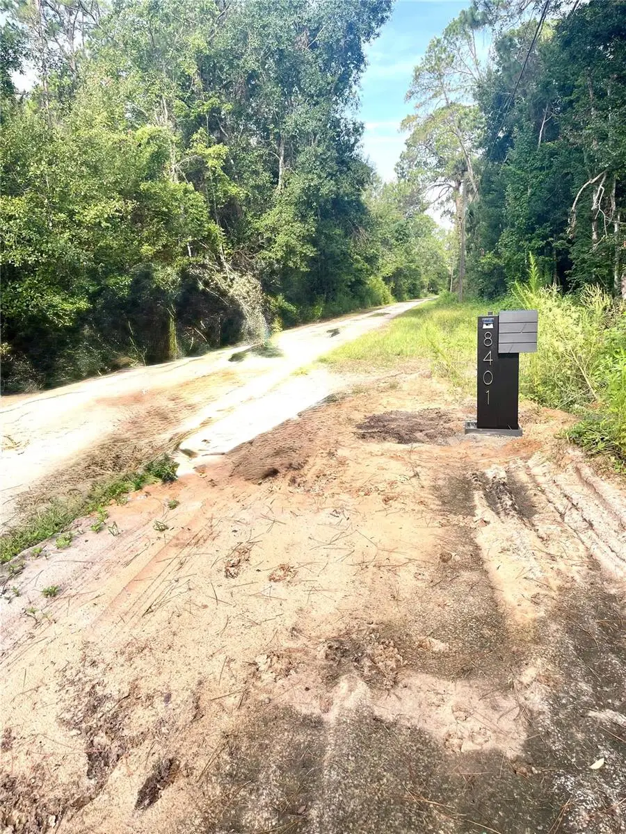 8401 Amelia Trail, Kissimmee, FL 34747 - Image #3