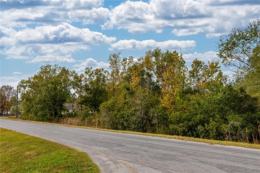 0 Edgerton Avenue, Orlando, FL 32833 - Image #2