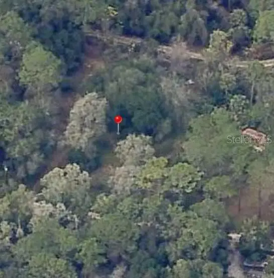 18901 SE 93rd Street, Ocklawaha, FL 32179 - #1