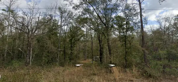 10230 Nikolich Avenue, HASTINGS, FL 32145