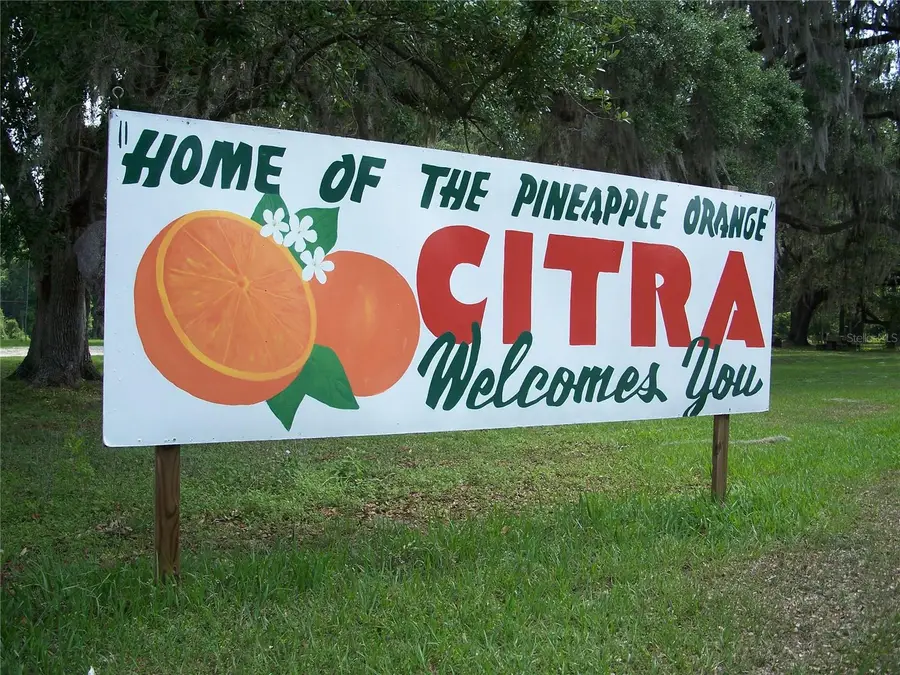 0000 NE 164th Place E, Citra, FL 32113 - Image #3