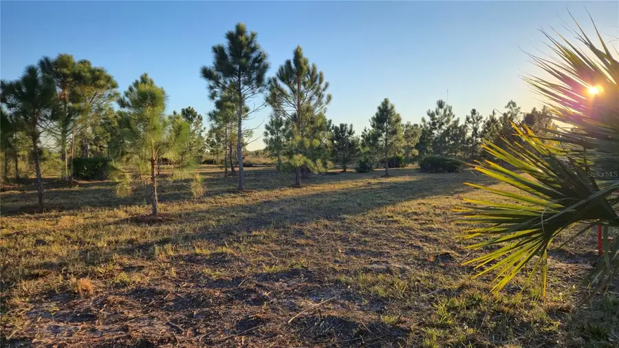 17718 NW 266th Street, Okeechobee, FL 34972 - Image #2