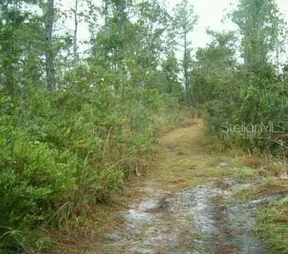 1890 Dill Road, Orlando, FL 32820 - Image #1