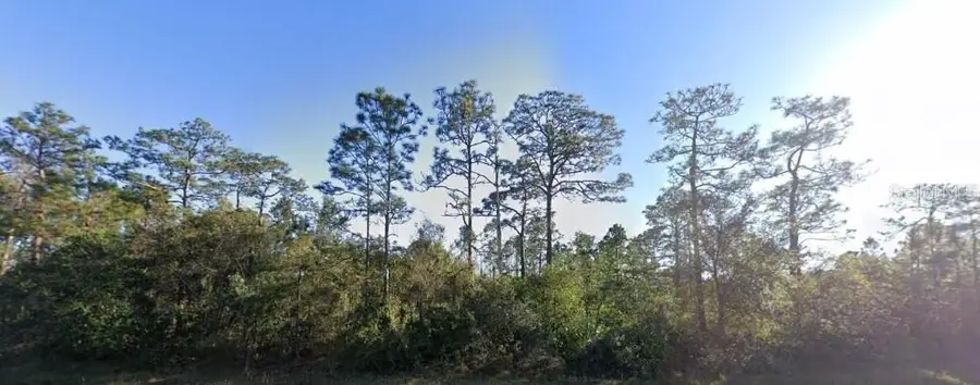 20106 E Colonial Drive, Christmas, FL 32709 - Image #3