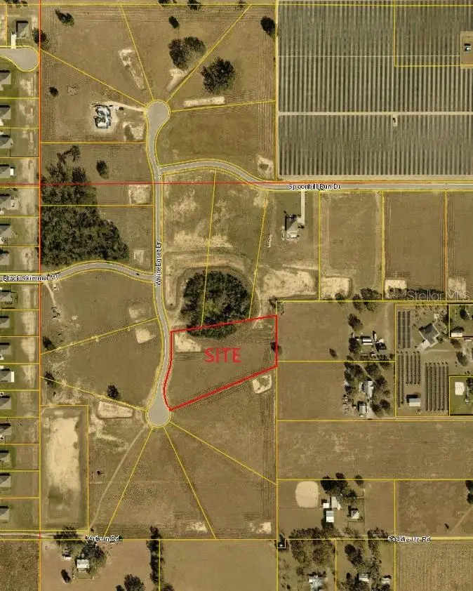 10023 White Egret Drive, Thonotosassa, FL 33592 - #2