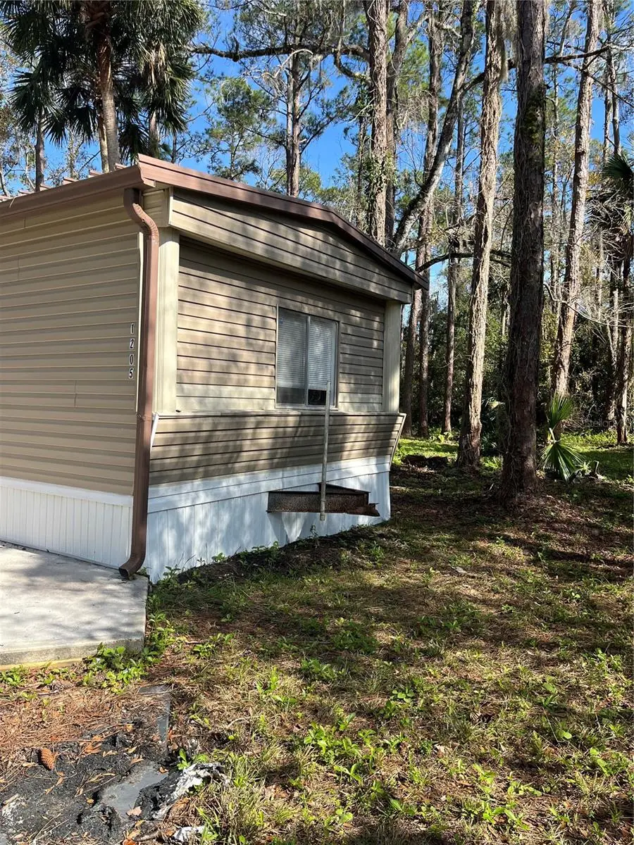 1205 Cupid Avenue, Christmas, FL 32709 - Image #3