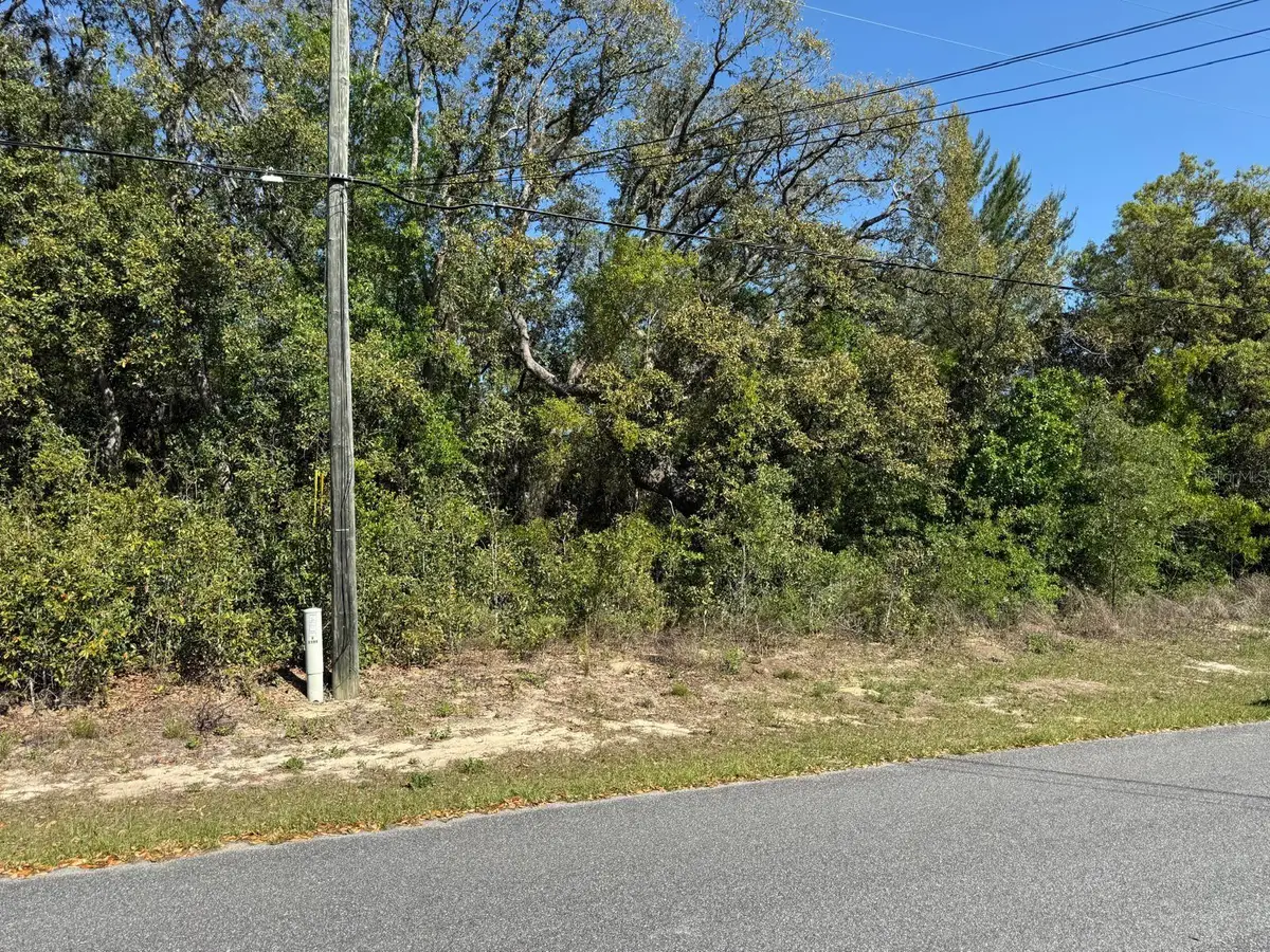 2803 W Manitoba Place, Citrus Springs, FL 34433 - #1