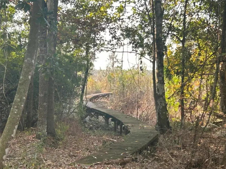 173 She She Road, Hawthorne, FL 32640 - Image #3