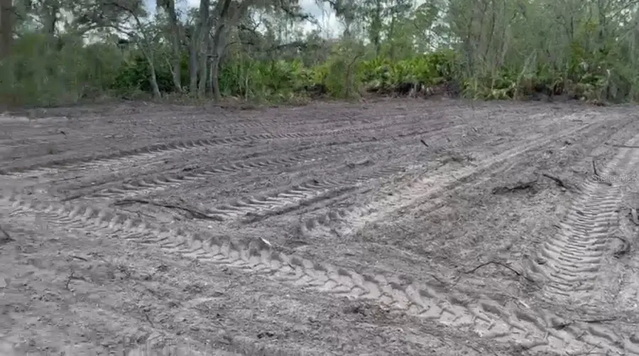 334 Sun Court, Lake Placid, FL 33852 - Image #3