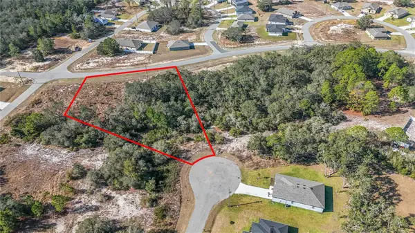 320 Bowfin Lane, KISSIMMEE, FL 34759