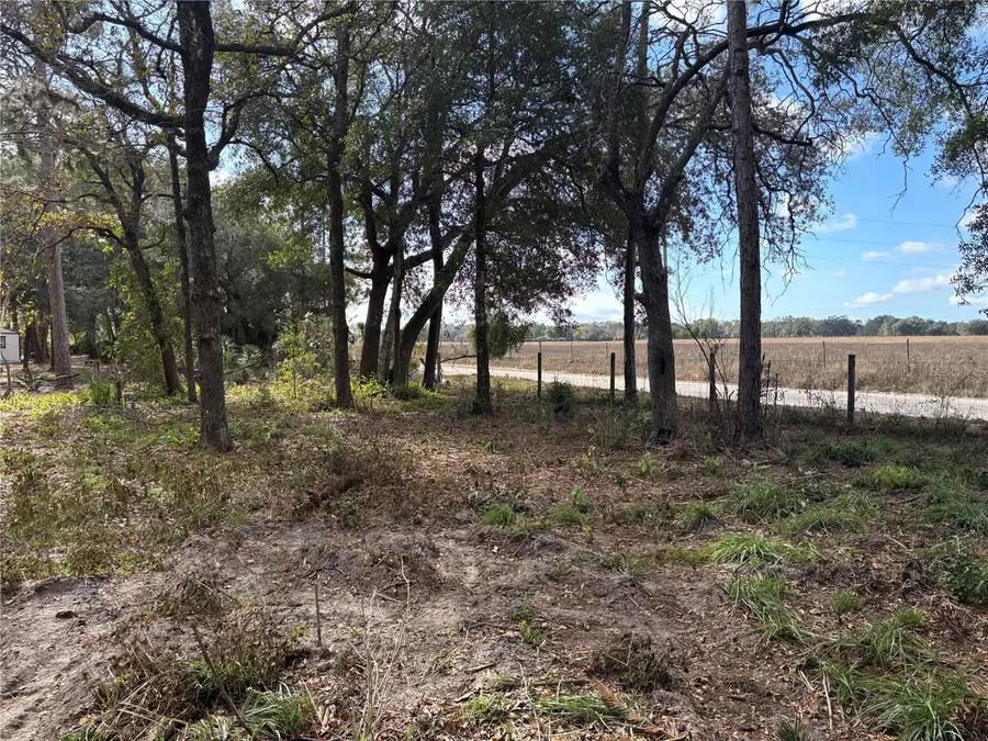 31 SE 190th Avenue, Old Town, FL 32680 - Image #3