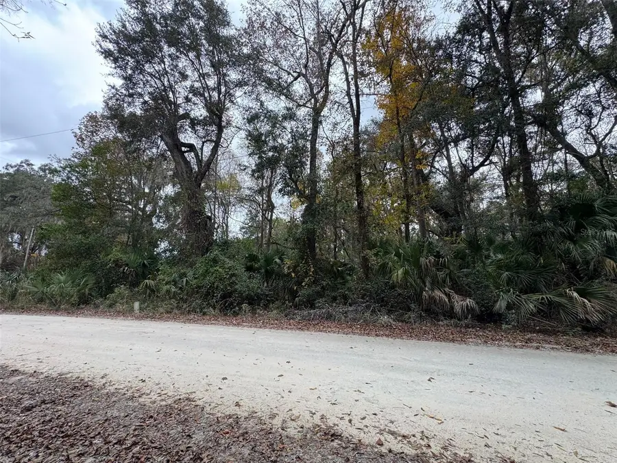 NE 142 Place, Anthony, FL 32617 - Image #3