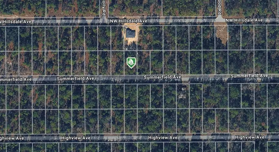 Summerfield Avenue, Dunnellon, FL 34431 - Image #2