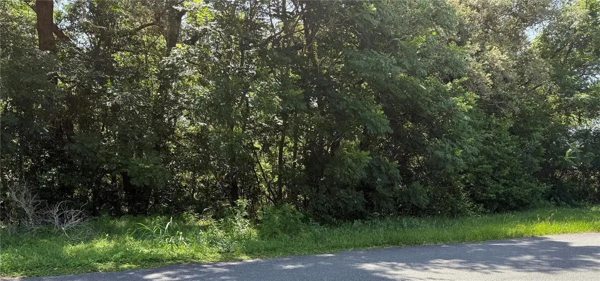 Hutchinson Way, Lady Lake, FL 32159 - Image #1