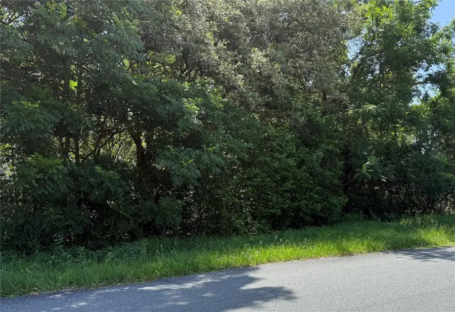 Hutchinson Way, Lady Lake, FL 32159 - Image #2