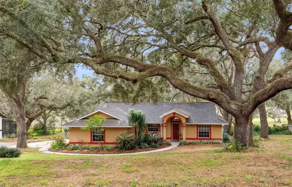 30911 Vista View, MOUNT DORA, FL 32757