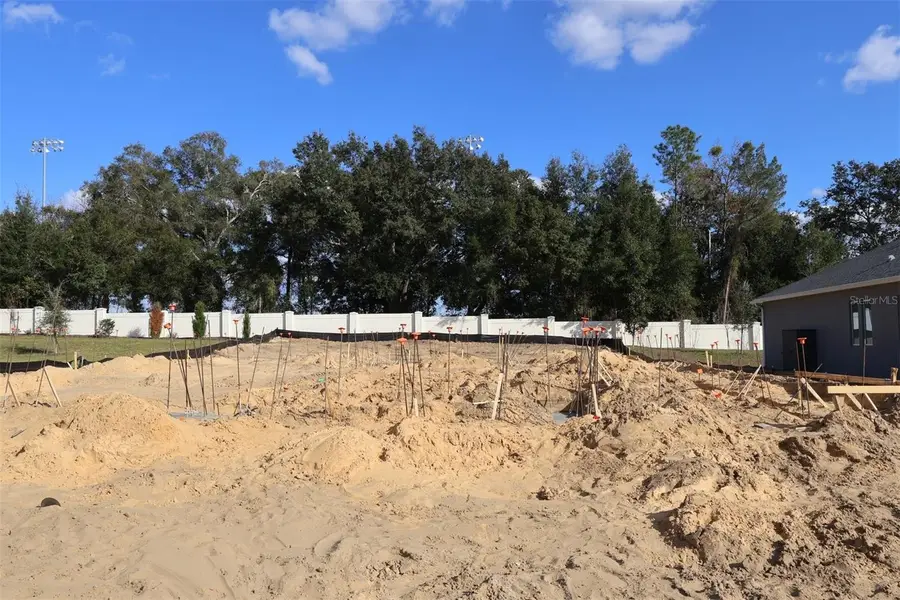 3270 Wolf Lake Avenue, Apopka, FL 32712 - Image #2