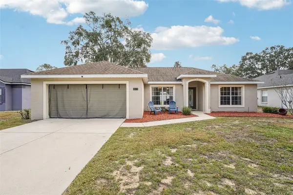 10118 Rockdale Drive, LEESBURG, FL 34788