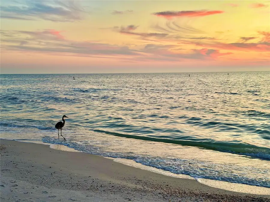 3575 Gulf Boulevard #105, Saint Pete Beach, FL 33706 - Image #3