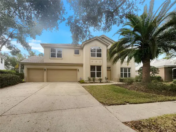 18105 Regents Square Drive, TAMPA, FL 33647