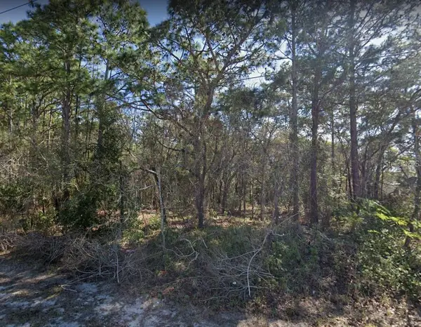 4430 Landover Boulevard, SPRING HILL, FL 34609