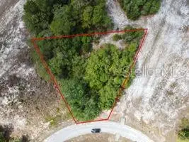 1329 Homosassa Court, Poinciana, FL 34759 - Image #3