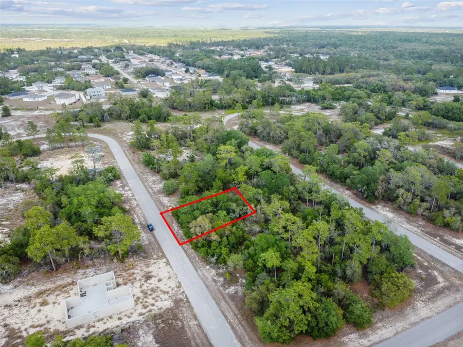 1305 Homosassa Court, Poinciana, FL 34759 - #2