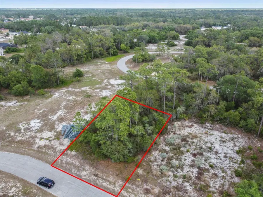 1315 Homosassa Court, Poinciana, FL 34759 - #2