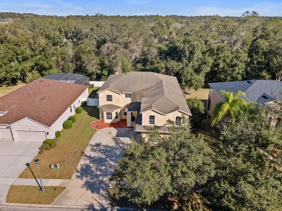 5042 Rishley Run Way, Mount Dora, FL 32757 - Image #3
