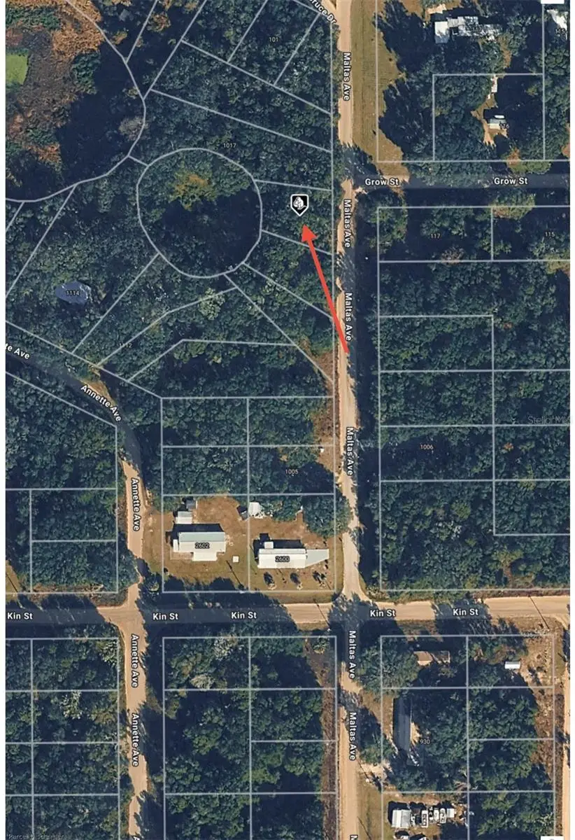 TBD Maltas Avenue, Interlachen, FL 32148 - #2