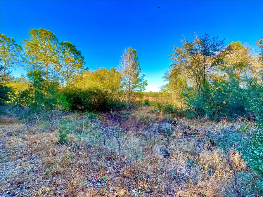 TBD Lakeview Way, Interlachen, FL 32148 - Image #2