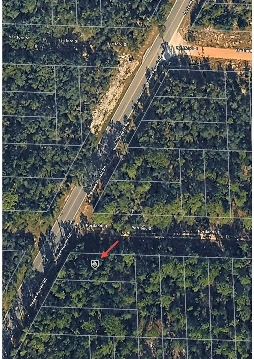 Baden Powell Road, Hawthorne, FL 32640 - #2