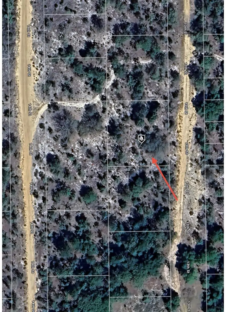 TBD 13th Street, Interlachen, FL 32148 - #2