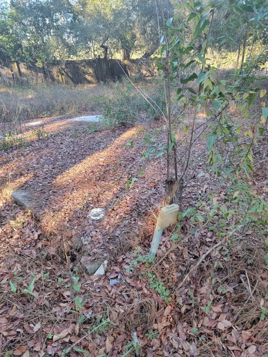 107 Lakeview Way, Interlachen, FL 32148 - #2